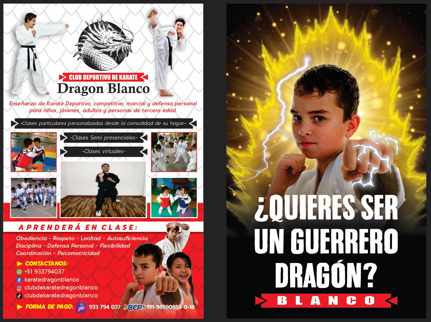 DOCENTE DE KARATE Y DEFENSA PERSONAL INFANTIL JUVENIL MAYORES